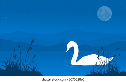 At night swan scenery silhouettes
