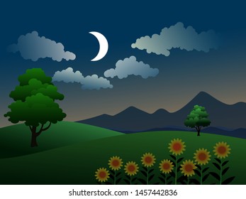 night time in countryside green field