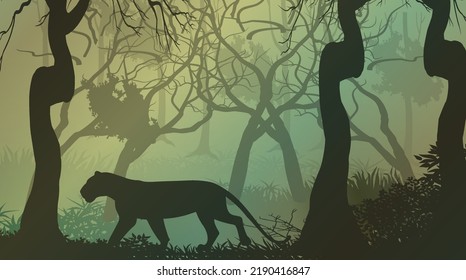 Night Time Forest Landscape And Wild Animals Are Walking Inside The  Jungle.