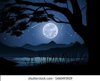 night time with full moon view under big tree