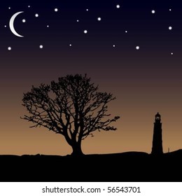 Night Tree