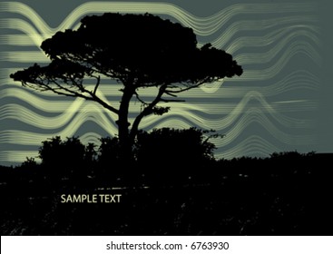 Night Tree Stock Vector (Royalty Free) 6763930 | Shutterstock