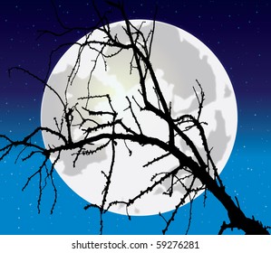 Night tree against the full moon