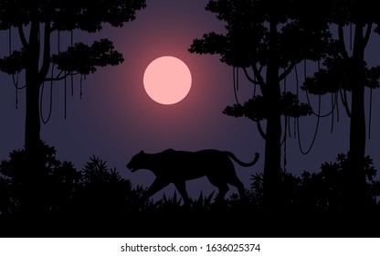Night in tropical forest  with tiger silhouette and full moon