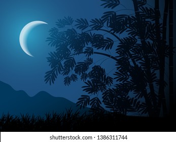 night tropical nature background with bamboo and the moon