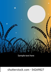 Night vector grass background.