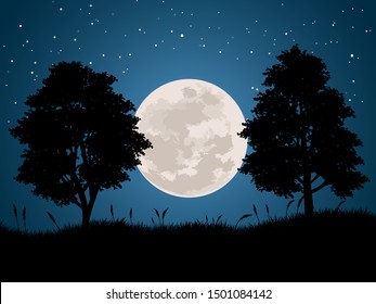 night vector landscape full moon and trees in starry night