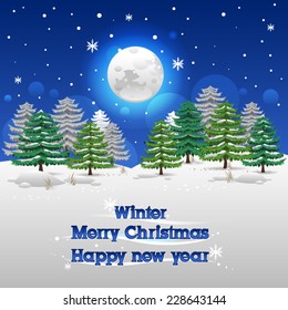 Night winter forest