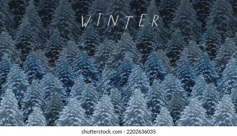 Night winter forest. Vector illustration of winter, spruce, snowy trees,
 snow for banner, postcard or background