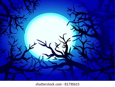 Night winter forest. Vector illustration.