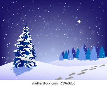 Night winter scene