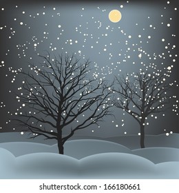 Night in the wood before Christmas