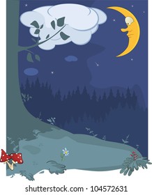 Night wood landscape