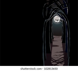 Night wood. The vector illustration of a wood in night time.