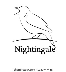 Nightingale Bird Icon - Vector Illustrator