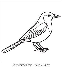Nightingale pájaro ilustración Vector línea arte para colorear diseño