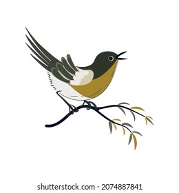 Nightingale bird on the branch in oriental style isolated on a white background. A songbird sits on a flowering branch. The bird sings. Vector hand drawn illustration.