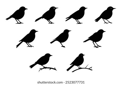 Nightingale Bird Silhouette Vector Set, Nightingale Black Clipart Bundle