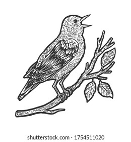 nightingale bird sketch engraving vector illustration. T-shirt apparel print design. Scratch board imitation. Black and white hand drawn image.