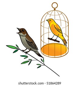 Nightingale and Canary