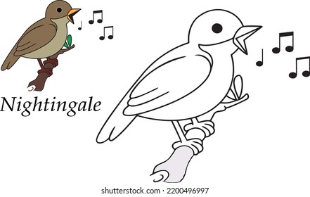 Nightingale Flying Bird singing for children. Coloring book. Game for kids. Vector cartoon illustration 