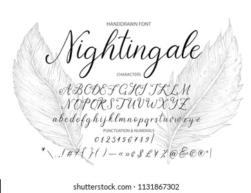 Nightingale. Handdrawn Calligraphic Vector Font. Modern Gentle Calligraphy.