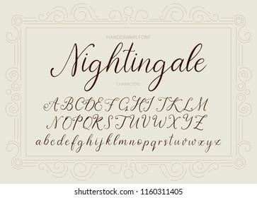 Nightingale. Fuente de vector caligráfico dibujada a mano. Caligrafía suave vintage.
