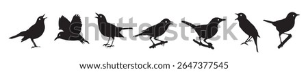 nightingale silhouette line art vector illustration with a white background
