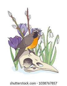 Nightingale is singing and sitting on bird skull surrounded by spring flowers. Hand drawn vector illustration.