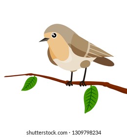 Nightingale sitting on a tree branch with green leaves. Bird in nature in the forest. Wild animal. Winged songbird. Cartoon flat illustration
