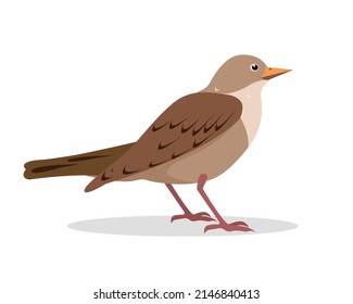 Nightingale Or Starling Bird Icon Isolated On White Background. Flat Or Cartoon Song Nightingale Vector Illustration For Nature Ornitology Design.