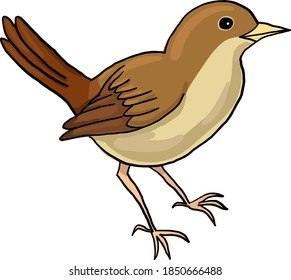imagen vectorial nocturna en fondo transparente
