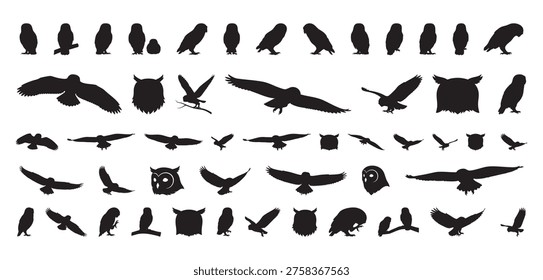 Nighttime owls glide through air. Owls in flight reveal nighttime migration patterns clearly observed. Silhouettes of owls in motion demonstrate nocturnal migratory behavior during evening hours