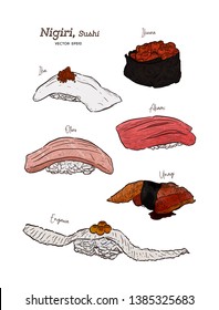 Nigiri set, Ika, Ikura, Akami, Otoro, unagi and engawa. Hand draw sketch vector.