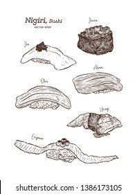 Nigiri set, Ika, Ikura, Akami, Otoro, unagi and engawa. Hand draw sketch vector.