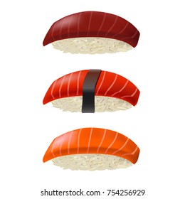 Nigiri sushi set. Vector illustration isolated on white background