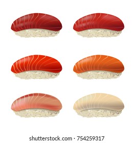 Nigiri sushi set. Vector illustration isolated on white background