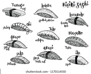 Nigiri sushi species. Engraving sketch style illustrations. Isolated line sushi set on white background. Japanese food menu design elements.