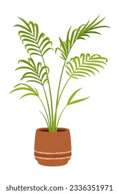 maceta de palma de Nikau, planta tropical vectorial con hojas tipo pluma y un gran tronco delgado. Hogar de oficina con vegetación exuberante, nativo de Nueva Zelanda, Ideal para decoración interior o exterior