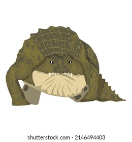 Nile crocodile Crocodylus niloticus goes ahead. Wild vector reptile of Africa