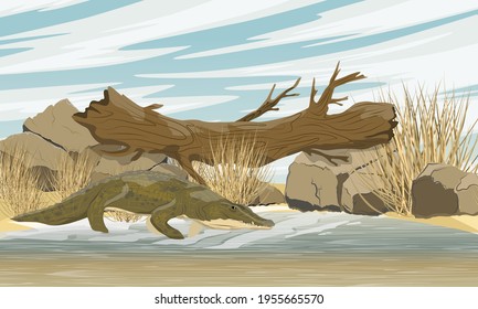 Nile crocodile Crocodylus niloticus stands near the river. A fallen tree lying on two stones above a lake with sandy and clayey shores. A tree trunk bridge over the lake. Realistic vector landscape