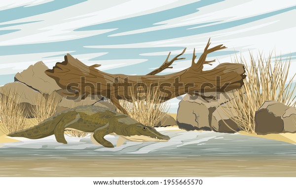 Nile crocodile Crocodylus niloticus stands near\
the river. A fallen tree lying on two stones above a lake with\
sandy and clayey shores. A tree trunk bridge over the lake.\
Realistic vector\
landscape