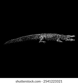 nile crocodile hand drawing vector isolated on black background.
