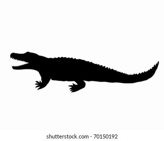 Silhouette of a crocodile.ai