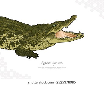 Nile Crocodile arte vetorial para decoração de parede. imagens animais realistas. Desenhado à mão Reptile animal isolado. para pesquisa, decoração de sala, eventos, etc