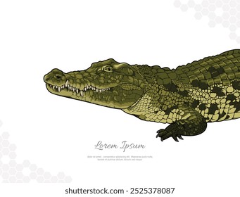 Arte vectorial de cocodrilo del Nilo para la decoración de la pared. Imágenes animales realistas. Animal reptil dibujado a mano aislado. para la investigación, decoración de la habitación, eventos, etc