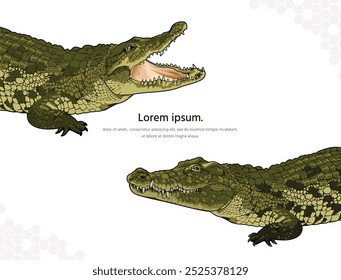 Arte vectorial de cocodrilo del Nilo para la decoración de la pared. Imágenes animales realistas. Animal reptil dibujado a mano aislado. para la investigación, decoración de la habitación, eventos, etc