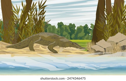 Nile crocodile walks along the lake shore. Realistic vector landscape