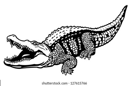 nile crocodile,crocodylus niloticus,wild african animal,black and white vector illustration,side view picture