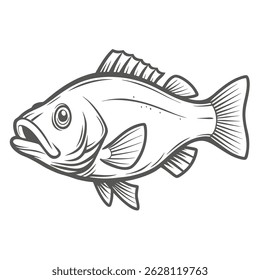 Nile Perch Outline Illustration Vector